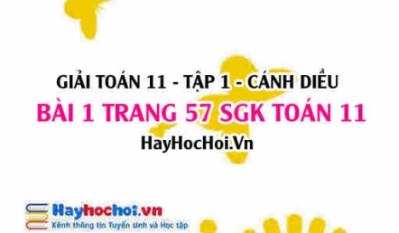 Giải bài 1 trang 57 Toán 11 tập 1 SGK Cánh Diều